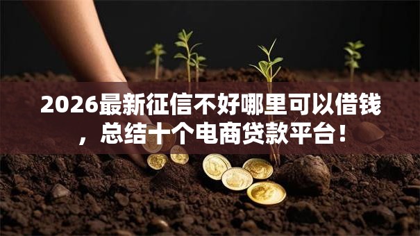2026最新征信不好哪里可以借钱,总结十个电商贷款平台! 2026最新征信不好哪里可以借钱,总结十个电商贷款平台!