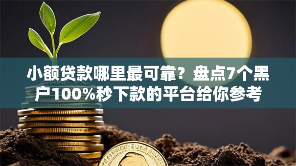 小额贷款哪里最可靠？盘点7个黑户100%秒下款的平台给你参考