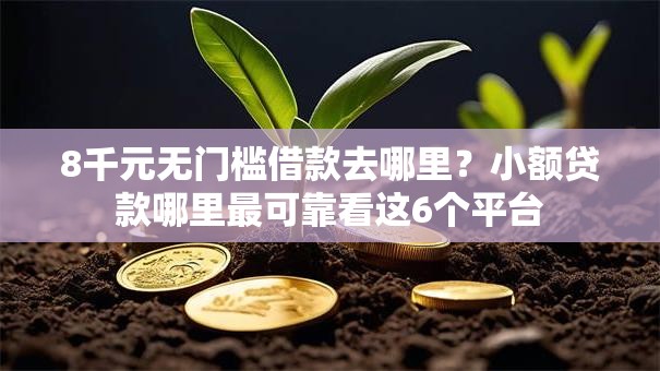 8千元无门槛借款去哪里？小额贷款哪里最可靠看这6个平台