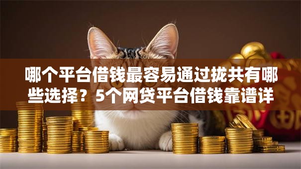 哪个平台借钱最容易通过拢共有哪些选择？5个网贷平台借钱靠谱详解