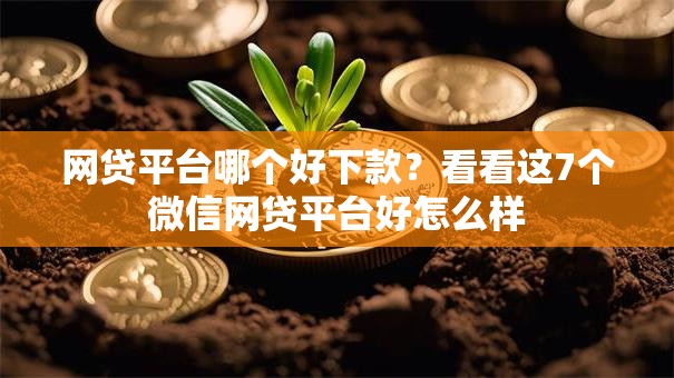 网贷平台哪个好下款?看看这7个微信网贷平台好怎么样 网贷平台哪个好下款?看看这7个微信网贷平台好怎么样