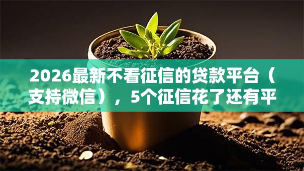 2026最新不看征信的贷款平台(支持微信),5个征信花了还有平台可以借款无私分享 2026最新不看征信的贷款平台(支持微信),5个征信花了还有平台可以借款无私分享