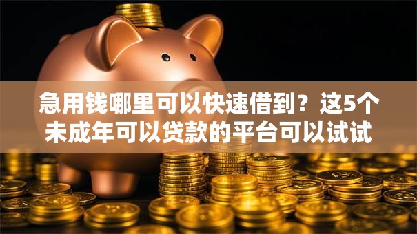 急用钱哪里可以快速借到?这5个未成年可以贷款的平台可以试试 急用钱哪里可以快速借到?这5个未成年可以贷款的平台可以试试