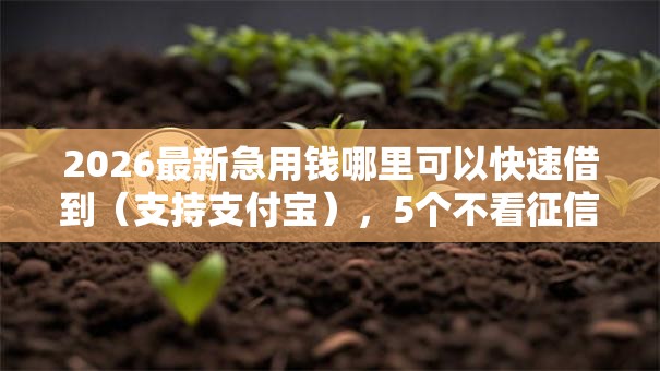 2026最新急用钱哪里可以快速借到(支持支付宝),5个不看征信容易贷款的平台无私分享 2026最新急用钱哪里可以快速借到(支持支付宝),5个不看征信容易贷款的平台无私分享