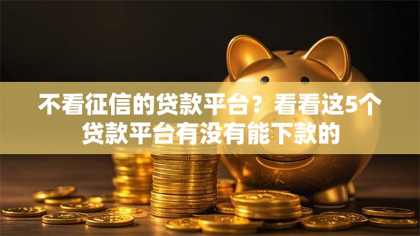 不看征信的贷款平台？看看这5个贷款平台有没有能下款的