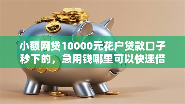 小额网贷10000元花户贷款口子秒下的,急用钱哪里可以快速借到的5个平台介绍 小额网贷10000元花户贷款口子秒下的,急用钱哪里可以快速借到的5个平台介绍