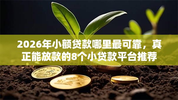 2026年小额贷款哪里最可靠，真正能放款的8个小贷款平台推荐