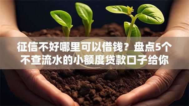 征信不好哪里可以借钱？盘点5个不查流水的小额度贷款口子给你参考