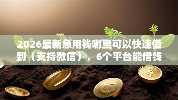 2026最新急用钱哪里可以快速借到(支持微信),6个平台能借钱无私分享 2026最新急用钱哪里可以快速借到(支持微信),6个平台能借钱无私分享