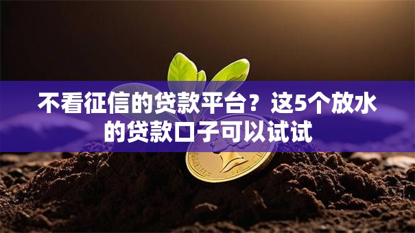 不看征信的贷款平台?这5个放水的贷款口子可以试试 不看征信的贷款平台?这5个放水的贷款口子可以试试