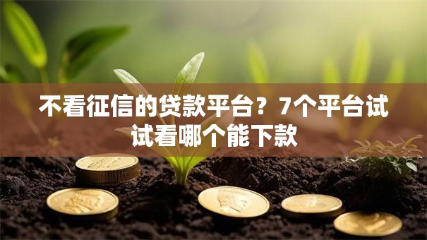 不看征信的贷款平台？7个平台试试看哪个能下款