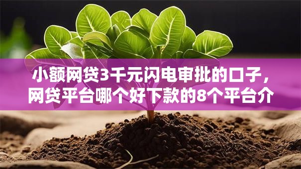 小额网贷3千元闪电审批的口子,网贷平台哪个好下款的8个平台介绍 小额网贷3千元闪电审批的口子,网贷平台哪个好下款的8个平台介绍