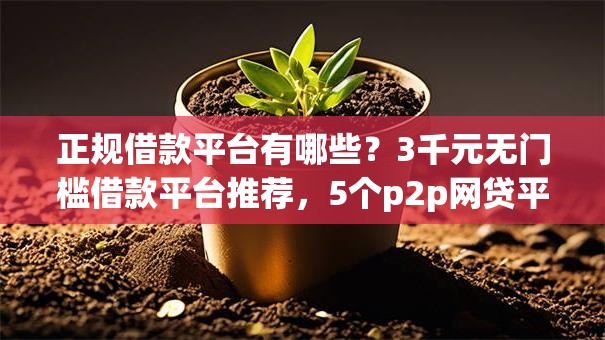 正规借款平台有哪些?3千元无门槛借款平台推荐,5个p2p网贷平台排名不分先后百强榜盘点 正规借款平台有哪些?3千元无门槛借款平台推荐,5个p2p网贷平台排名不分先后百强榜盘点