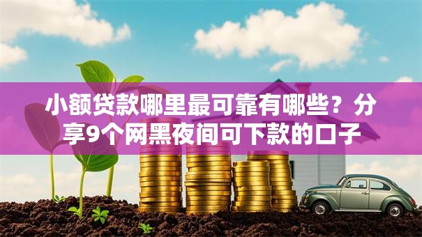 小额贷款哪里最可靠有哪些？分享9个网黑夜间可下款的口子