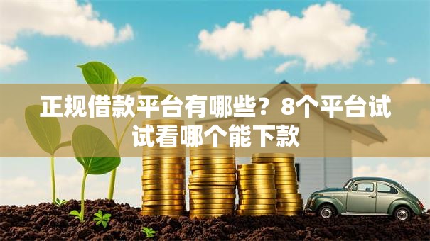 正规借款平台有哪些？8个平台试试看哪个能下款