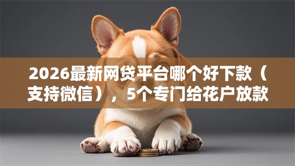 2026最新网贷平台哪个好下款（支持微信），5个专门给花户放款的平台无私分享