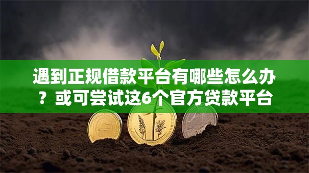 遇到正规借款平台有哪些怎么办？或可尝试这6个官方贷款平台