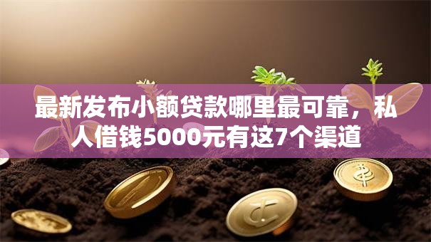 最新发布小额贷款哪里最可靠，私人借钱5000元有这7个渠道