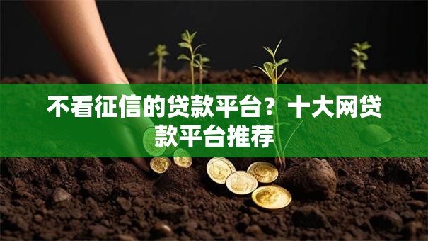 不看征信的贷款平台？十大网贷款平台推荐