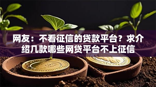网友：不看征信的贷款平台？求介绍几款哪些网贷平台不上征信