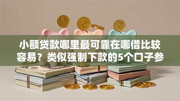 小额贷款哪里最可靠在哪借比较容易？类似强制下款的5个口子参考