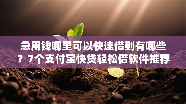 急用钱哪里可以快速借到有哪些？7个支付宝快贷轻松借软件推荐给你