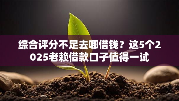 综合评分不足去哪借钱？这5个2025老赖借款口子值得一试
