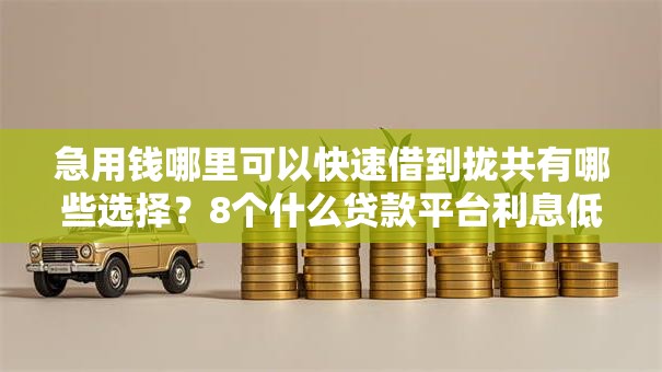 急用钱哪里可以快速借到拢共有哪些选择？8个什么贷款平台利息低详解