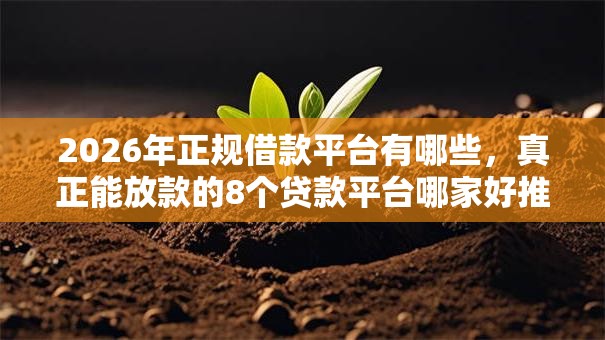 2026年正规借款平台有哪些,真正能放款的8个贷款平台哪家好推荐 2026年正规借款平台有哪些,真正能放款的8个贷款平台哪家好推荐