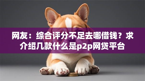 网友:综合评分不足去哪借钱?求介绍几款什么是p2p网贷平台 网友:综合评分不足去哪借钱?求介绍几款什么是p2p网贷平台