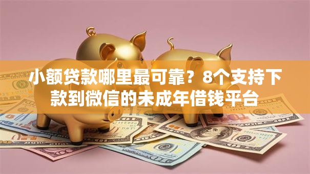 小额贷款哪里最可靠？8个支持下款到微信的未成年借钱平台