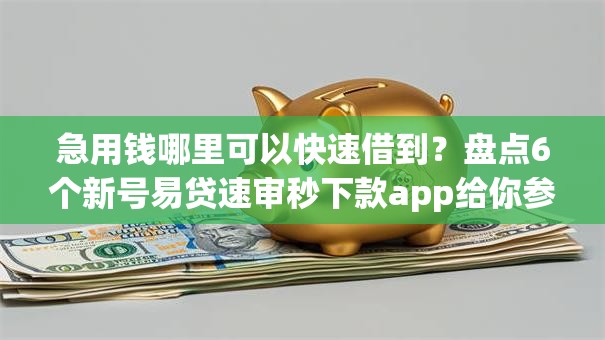 急用钱哪里可以快速借到？盘点6个新号易贷速审秒下款app给你参考