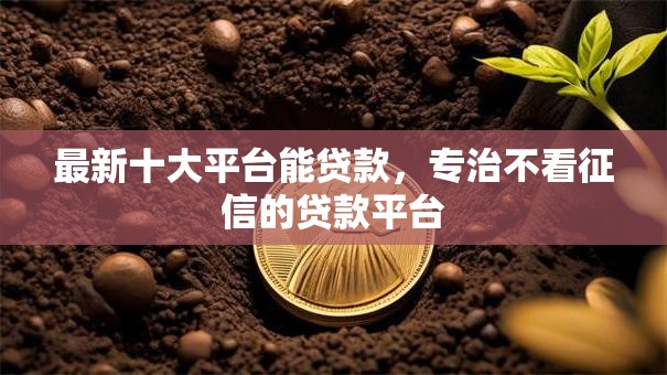 最新十大平台能贷款，专治不看征信的贷款平台