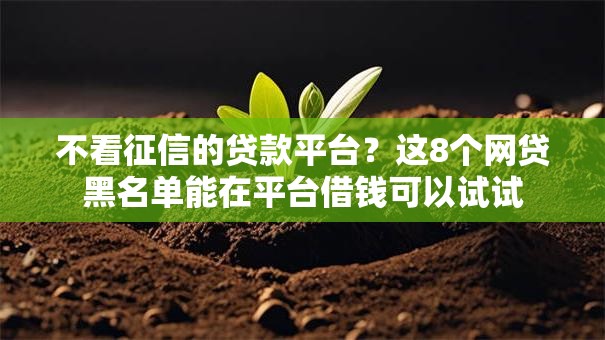 不看征信的贷款平台？这8个网贷黑名单能在平台借钱可以试试