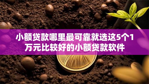 小额贷款哪里最可靠就选这5个1万元比较好的小额贷款软件