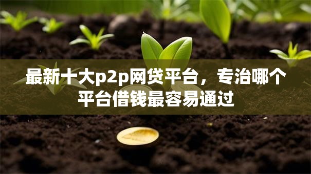 最新十大p2p网贷平台，专治哪个平台借钱最容易通过