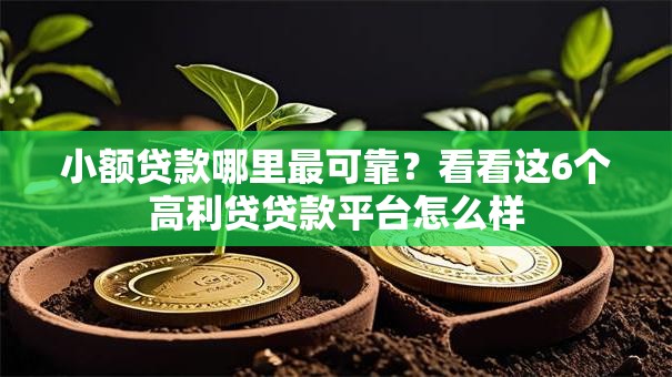 小额贷款哪里最可靠？看看这6个高利贷贷款平台怎么样