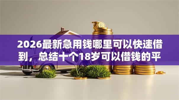 2026最新急用钱哪里可以快速借到，总结十个18岁可以借钱的平台！