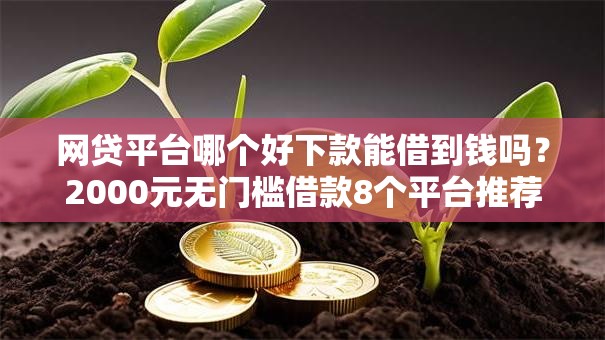网贷平台哪个好下款能借到钱吗？2000元无门槛借款8个平台推荐