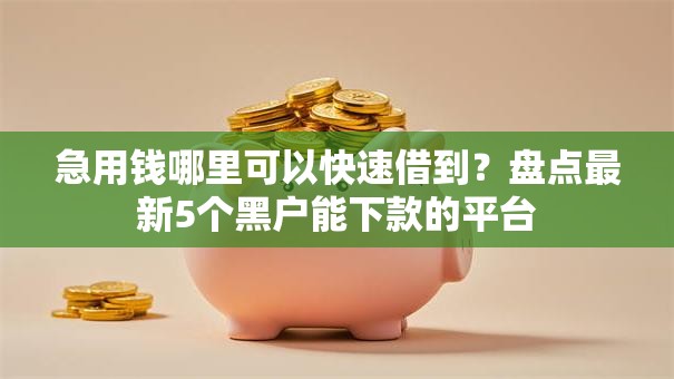 急用钱哪里可以快速借到?盘点最新5个黑户能下款的平台 急用钱哪里可以快速借到?盘点最新5个黑户能下款的平台