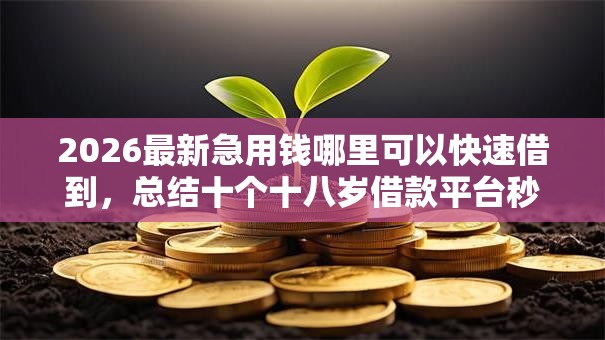 2026最新急用钱哪里可以快速借到,总结十个十八岁借款平台秒过的软件! 2026最新急用钱哪里可以快速借到,总结十个十八岁借款平台秒过的软件!