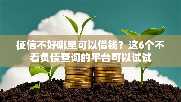 征信不好哪里可以借钱?这6个不看负债查询的平台可以试试 征信不好哪里可以借钱?这6个不看负债查询的平台可以试试