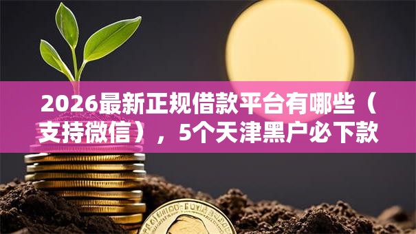 2026最新正规借款平台有哪些（支持微信），5个天津黑户必下款的口子无私分享