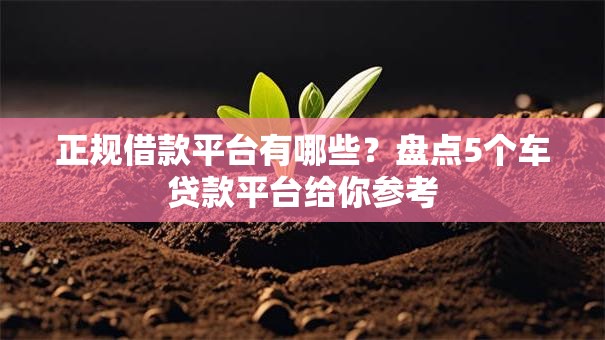 正规借款平台有哪些？盘点5个车贷款平台给你参考