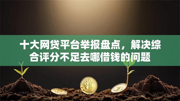 十大网贷平台举报盘点,解决综合评分不足去哪借钱的问题 十大网贷平台举报盘点,解决综合评分不足去哪借钱的问题