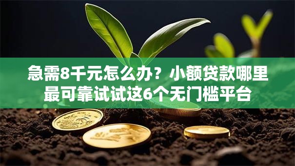 急需8千元怎么办?小额贷款哪里最可靠试试这6个无门槛平台 急需8千元怎么办?小额贷款哪里最可靠试试这6个无门槛平台