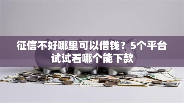 征信不好哪里可以借钱？5个平台试试看哪个能下款