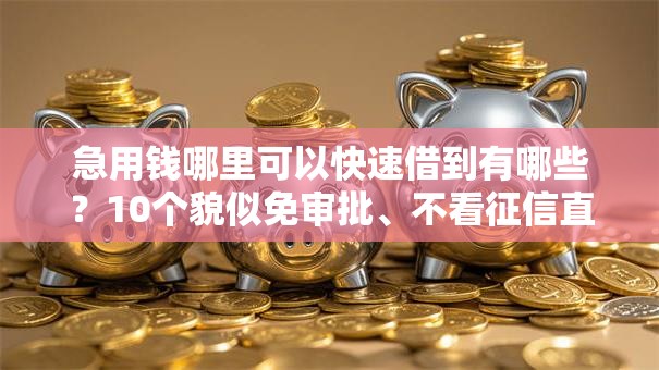 急用钱哪里可以快速借到有哪些？10个貌似免审批、不看征信直接放款的平台合集