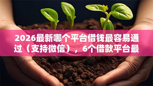 2026最新哪个平台借钱最容易通过（支持微信），6个借款平台最好借钱无私分享