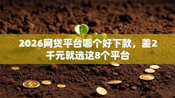 2026网贷平台哪个好下款,差2千元就选这8个平台 2026网贷平台哪个好下款,差2千元就选这8个平台